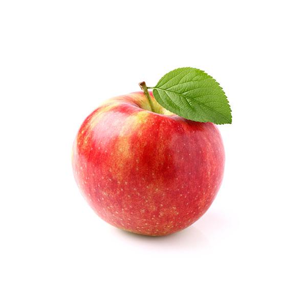 תפוח עץ גאלה 
