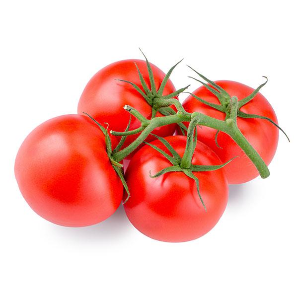 עגבניה אשכולות 