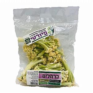 כרובית פיורטי -אזל במלאי